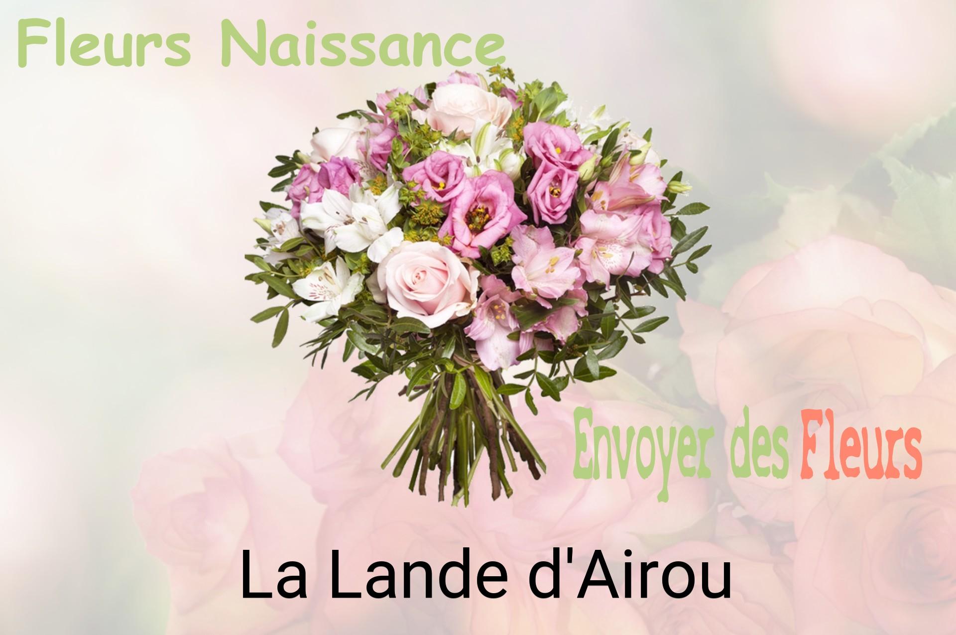 Bouquet de fleurs de naissance livré à La Lande-d'Airou